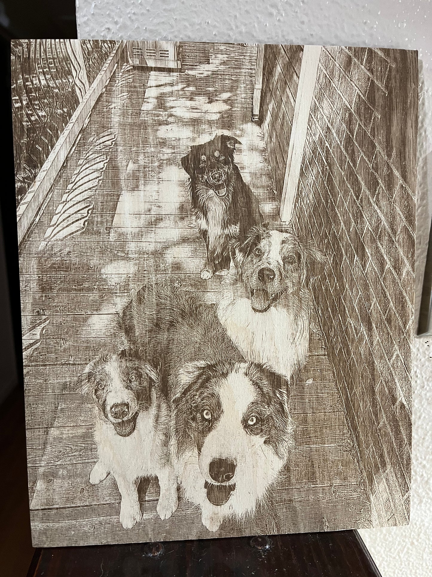 Wood Burnt Pet Portrait