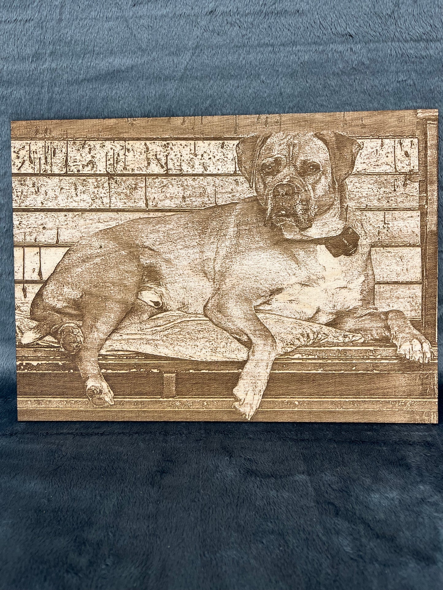 Wood Burnt Pet Portrait